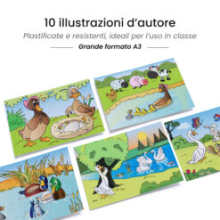 Kamishibai: tavole A3 illustrate per storia Kamishibai Il Brutto Anatroccolo – Fiaba Stravagante.